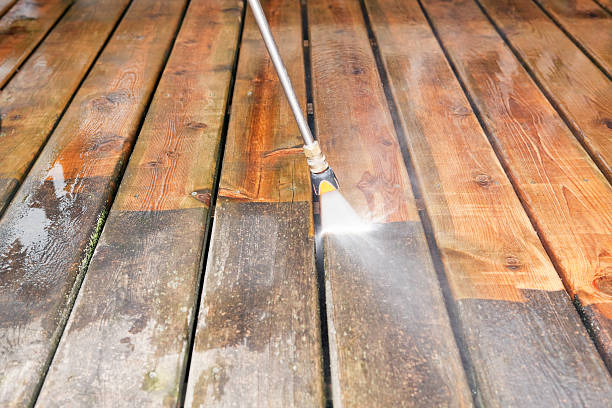 Best Solar Panel Cleaning  in Wewahitchka, FL